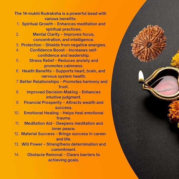 14 Mukhi Rudraksha Original Certified 14 Face Rudraksha Nepal with Pendant 21mm भगवान शिव और बजरंगबली का आशीर्वाद 14 मुखी रुद्राक्ष 14 Faced Nepal 14 Mukhi Nepali by Certified Gems - Image 3
