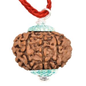 9 Mukhi Rudraksha Original Nepali Bead with Lab Certificate in Unisex Pendant - Brown