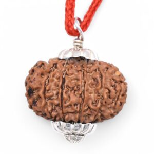 13 Mukhi Rudraksha Original Nepali Bead with Lab Certificate in Unisex Pendant - Brown